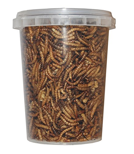 500 ml Mehlwürmer gefriergetrocknete / getrocknet | Reptilienfutter, Schildkrötenfutter, Futtertiere Igelfutter Vogelfutter