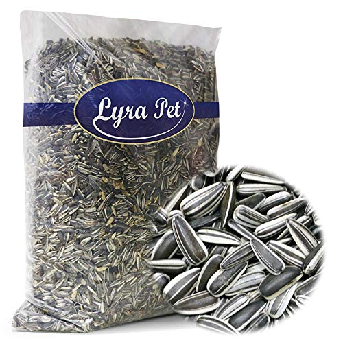 Lyra Pet® 25 kg Sonnenblumenkerne 25000 g gestreift Vogelfutter Winterfutter Ernte 2019