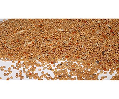 Wellensittichfutter mit Jod und Honig 10 kg Anhaltiner Premiumfutter