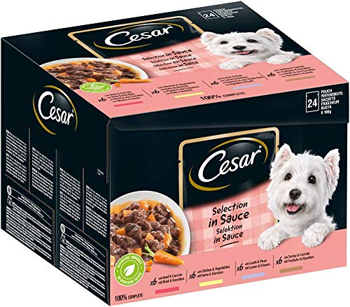 Cesar Hundefutter Nassfutter Feines im Frischebeutel Favoriten in Sauce, 48 Portionsbeutel (2 x 24 x 100g)